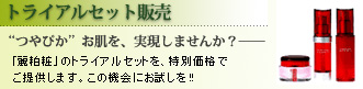 トライアル販売